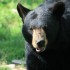 visite au parc OMEGA