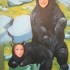visite au parc OMEGA