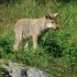 visite au parc OMEGA