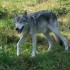 visite au parc OMEGA