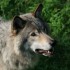 visite au parc OMEGA