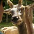 visite au parc OMEGA