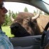 visite au parc OMEGA