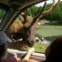 visite au parc OMEGA