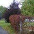 les couleurs d'automne...on s'