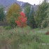 les couleurs d'automne...on s'