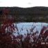 premiere neige sous les couleu