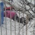 Première tempête de neige!