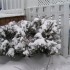 Première tempête de neige!