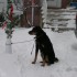 Première tempête de neige!