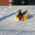 Glissades!