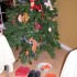 NOEL 2009!