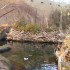 visite au BIODOME de Montréal