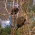 visite au BIODOME de Montréal