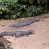 visite au BIODOME de Montréal