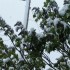 IL NEIGE!!!!