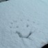 IL NEIGE!!!!