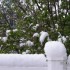 IL NEIGE!!!!