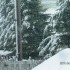 IL NEIGE!!!!