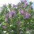 la nature explose de couleurs!