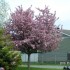 la nature explose de couleurs!