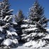 lendemain de tempête !