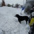 je neige, tu neiges, il neige.