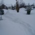 L'hiver se retire...