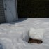 L'hiver se retire...