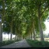 les bilous en france!
