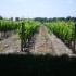 les bilous en france!
