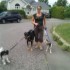 Promeneuse pour chiens!
