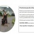 Promeneuse pour chiens!