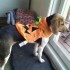 JOYEUX HALLOWEEN!