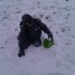 La première bordée de neige!