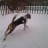 La première bordée de neige!