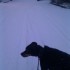 La première bordée de neige!
