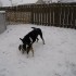La première bordée de neige!