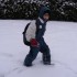 La première bordée de neige!