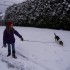 La première bordée de neige!
