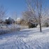 LA MAGIE DE NOEL!