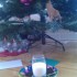 Noel 2011!!!!!
