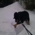 de la neige en masse!!!!!