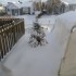 de la neige en masse!!!!!