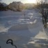 de la neige en masse!!!!!