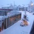 Retour de la neige!!!!!!