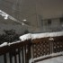 Retour de la neige!!!!!!