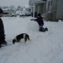 Retour de la neige!!!!!!