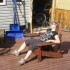 un printemps estival!