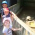 Reptiles!!!!!